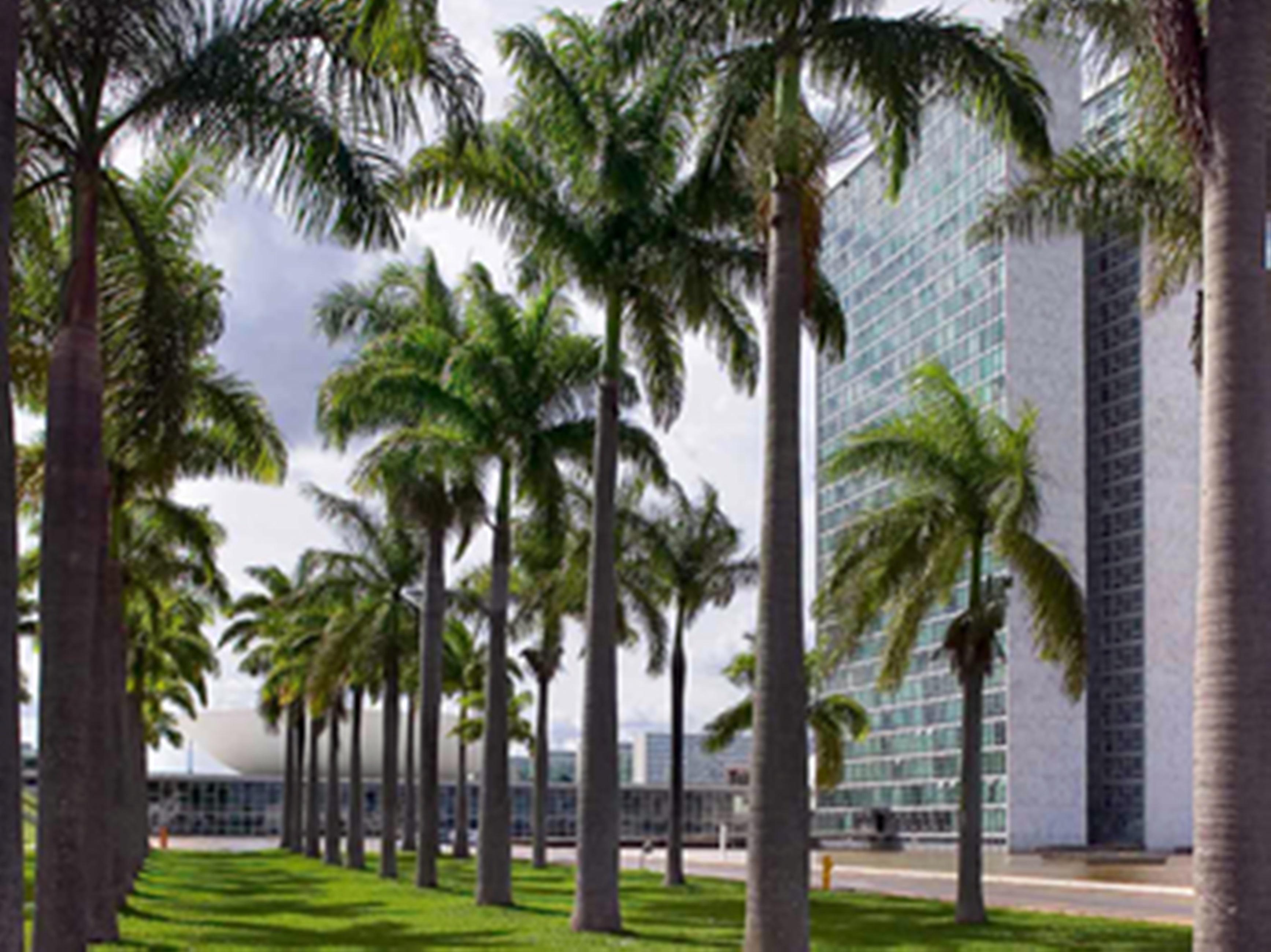 Mercure Brasilia Lider Экстерьер фото